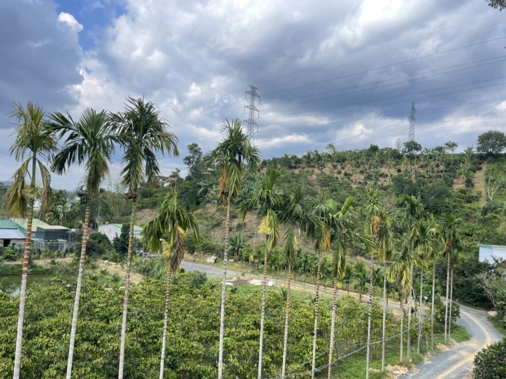 Bán nhà vườn góc 2 mặt tiền hẻm Quốc lộ 55 Lộc Thành Bảo Lâm Lâm Đồng