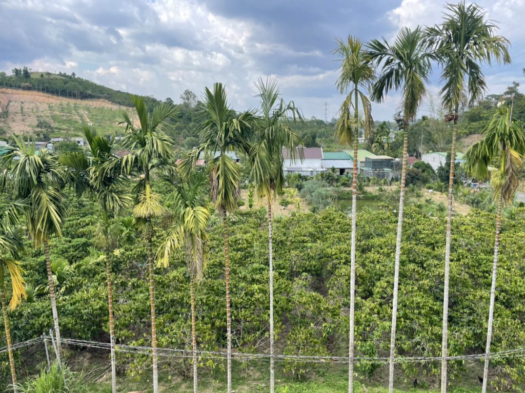 Bán nhà vườn góc 2 mặt tiền hẻm Quốc lộ 55 Lộc Thành Bảo Lâm Lâm Đồng