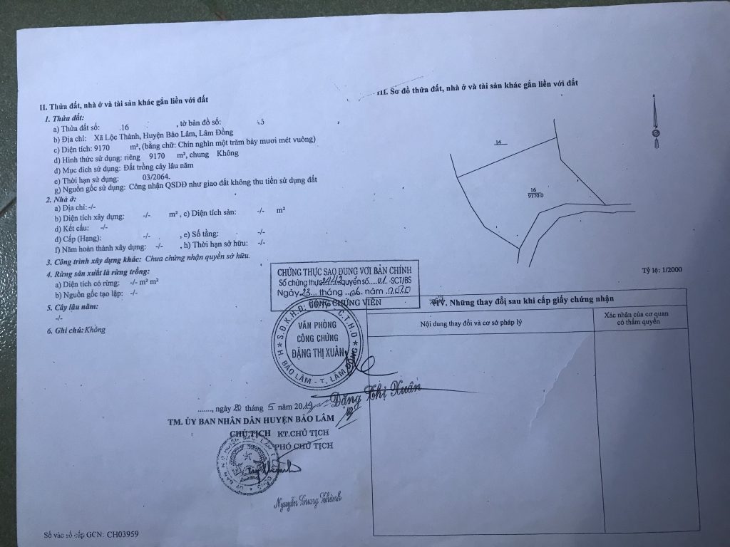 Bán 1 hecta Thôn 10b Lộc Thành Bảo Lâm Lâm Đồng