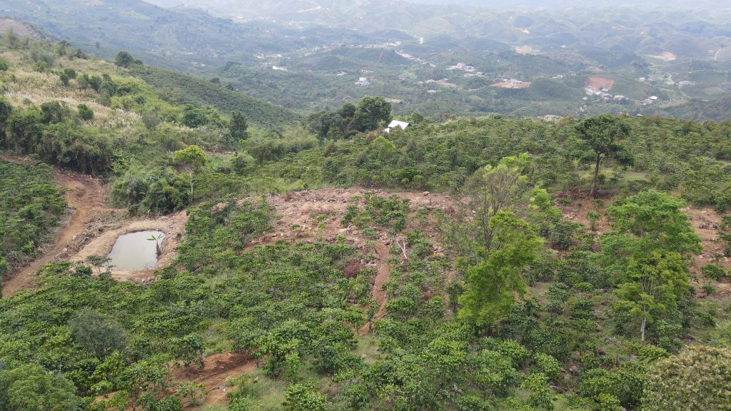 Bán 1 hecta Thôn 10b Lộc Thành Bảo Lâm Lâm Đồng