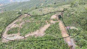Bán 1 hecta Thôn 10b Lộc Thành Bảo Lâm Lâm Đồng