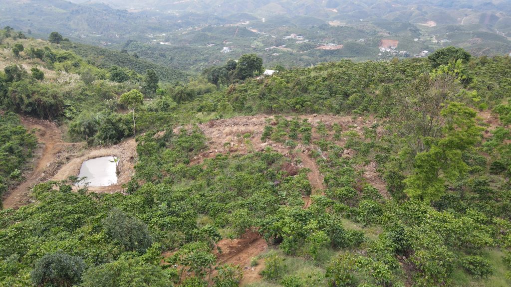 Bán 1 hecta Thôn 10b Lộc Thành Bảo Lâm Lâm Đồng