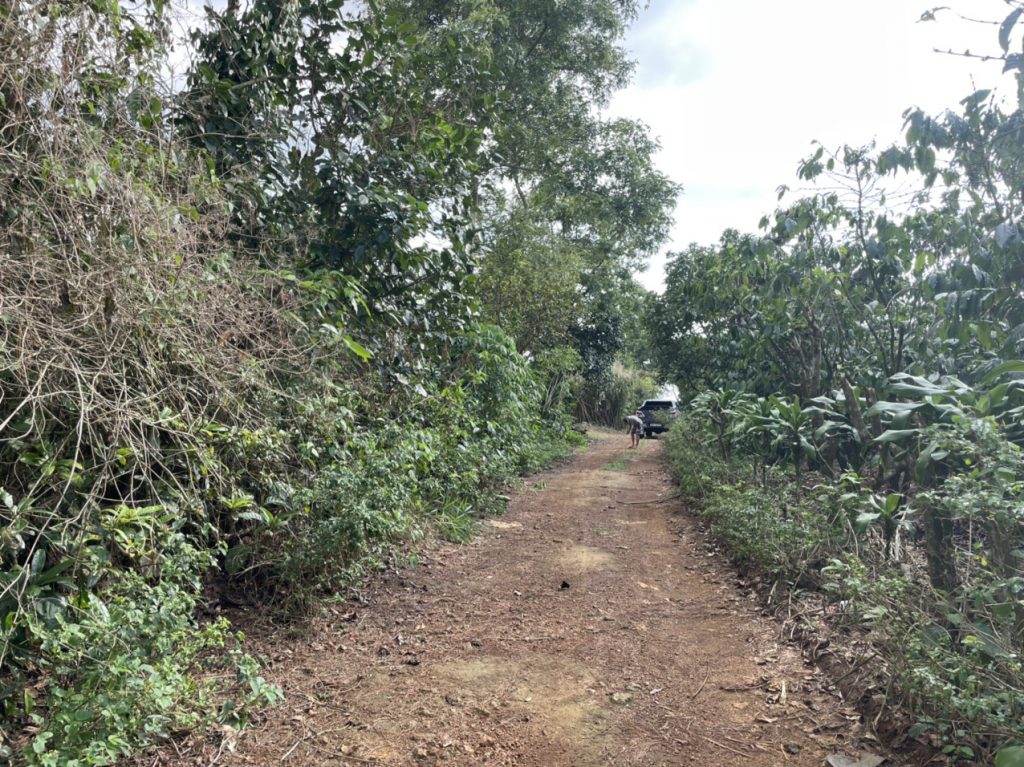 Bán 2,4 ha 2 mặt tiền thôn 7 Lộc Ngãi Bảo Lâm Lâm Đồng