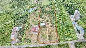 Bán 2,8 sào đường số 2 Thôn 16 Lộc Thành Bảo Lâm Lâm Đồng