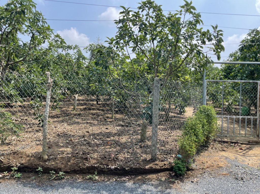 Bán 2,8 sào đường số 2 Thôn 16 Lộc Thành Bảo Lâm Lâm Đồng