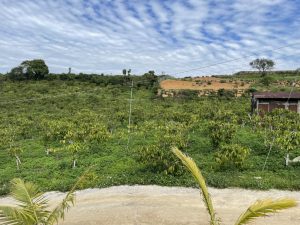 Bán 3,3 sào đất vườn hẻm 870 Quốc lộ 20 Lộc Châu Bảo Lộc Lâm Đồng