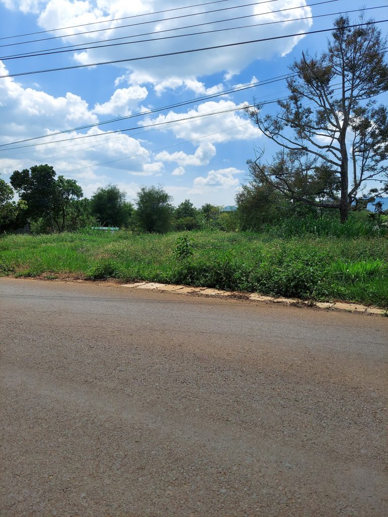 Bán 6,4 sào Tân Lạc Bảo Lâm Lâm Đồng