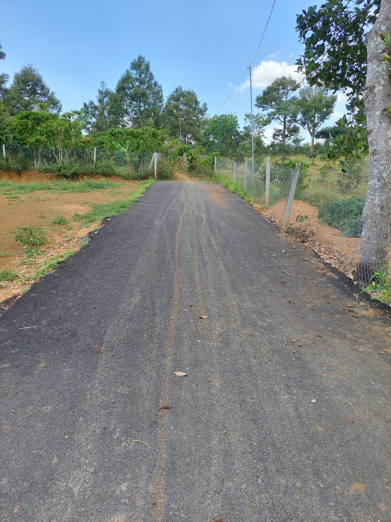 Bán 6,4 sào Tân Lạc Bảo Lâm Lâm Đồng