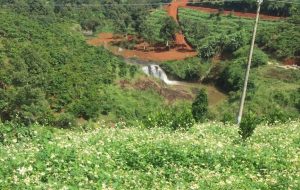 Bán 3 sào ngay khu đô thị Capital Lộc Sơn Bảo Lộc Lâm Đồng