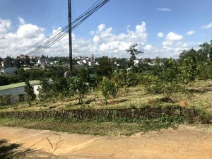 Đất nền Góc 2 mặt tiền ngay Hồ cá Bá Thiên Phường 2 Bảo Lộc