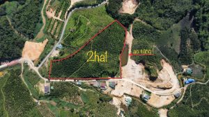 Bán 3,5 sào Thôn 10C Lộc Thành Bảo Lâm Lâm Đồng