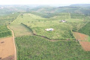 Bán 20 ha đất nông nghiệp Bla Bảo Lâm Lâm Đồng