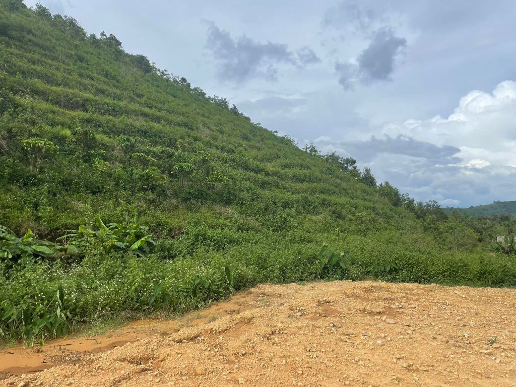 Đất vườn giá rẻ ngay trung tâm Lộc Thành Bảo Lâm Lâm Đồng