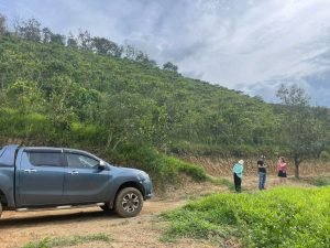 Đất vườn giá rẻ ngay trung tâm Lộc Thành Bảo Lâm Lâm Đồng