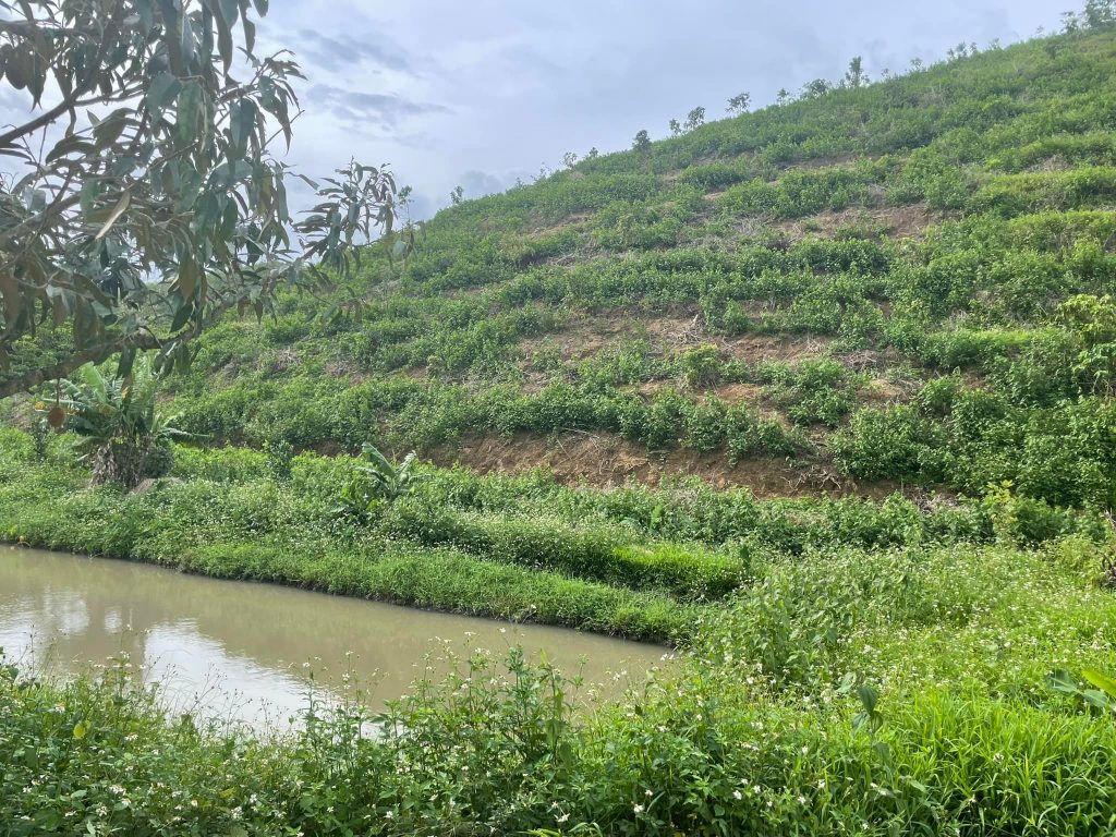 Đất vườn giá rẻ ngay trung tâm Lộc Thành Bảo Lâm Lâm Đồng