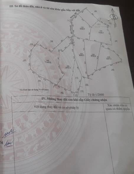 Đất vườn giá rẻ ngay trung tâm Lộc Thành Bảo Lâm Lâm Đồng