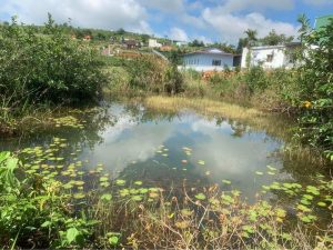 Bán 2,130 m2 sát hồ Hồ Ông Dụ Dambri Bảo Lộc Lâm Đồng