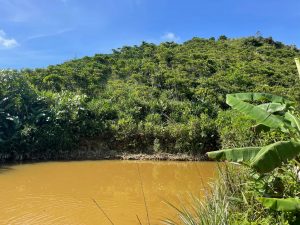 Bán 2,2 ha Thôn 10C Lộc Thành Bảo Lâm Lâm Đồng