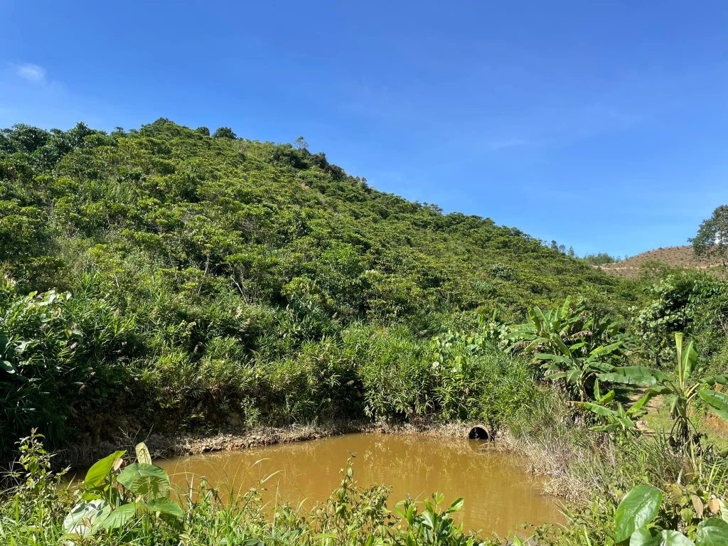 Bán 2,2 ha Thôn 10C Lộc Thành Bảo Lâm Lâm Đồng