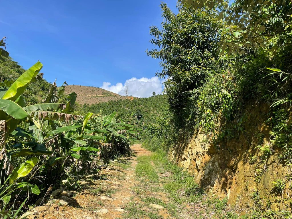 Bán 2,2 ha Thôn 10C Lộc Thành Bảo Lâm Lâm Đồng