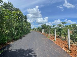 Bán 5,1 sào Thôn 5 Lộc An Bảo Lâm Lâm Đồng