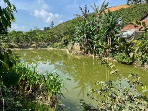 Bán 6,8 sào nghỉ dưỡng tuyệt đẹp Đại Lào Bảo Lộc Lâm Đồng