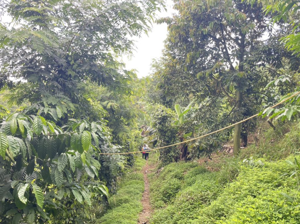 Bán 9,4 sào vườn cây ăn trái tại Tân Lạc Bảo Lâm Lâm Đồng