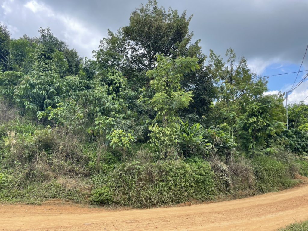 Bán 9,4 sào vườn cây ăn trái tại Tân Lạc Bảo Lâm Lâm Đồng