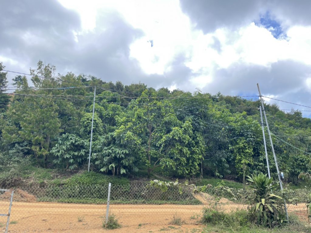 Bán 9,4 sào vườn cây ăn trái tại Tân Lạc Bảo Lâm Lâm Đồng