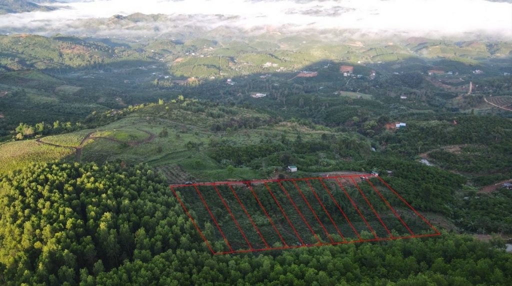 Siêu phẩm tuyệt tác của thiên nhiên tại Lộc Thành Bảo Lâm Lâm Đồng