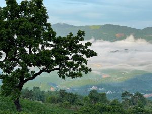 Siêu phẩm tuyệt tác của thiên nhiên tại Lộc Thành Bảo Lâm Lâm Đồng
