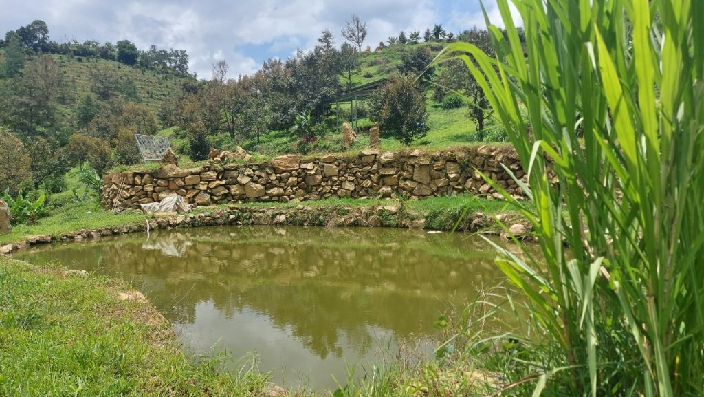 Bán 1,6 ha vườn cây ăn trái hẻm Chi Lăng Lộc Thành Bảo Lâm Lâm Đồng