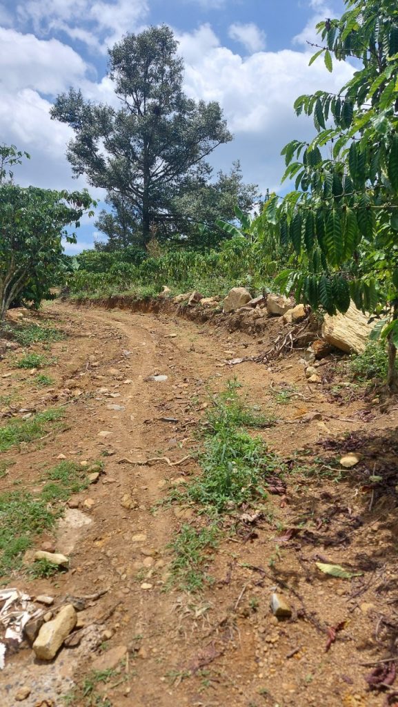 Bán 1,6 ha vườn cây ăn trái hẻm Chi Lăng Lộc Thành Bảo Lâm Lâm Đồng