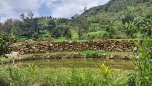 Bán 1,6 ha vườn cây ăn trái hẻm Chi Lăng Lộc Thành Bảo Lâm Lâm Đồng