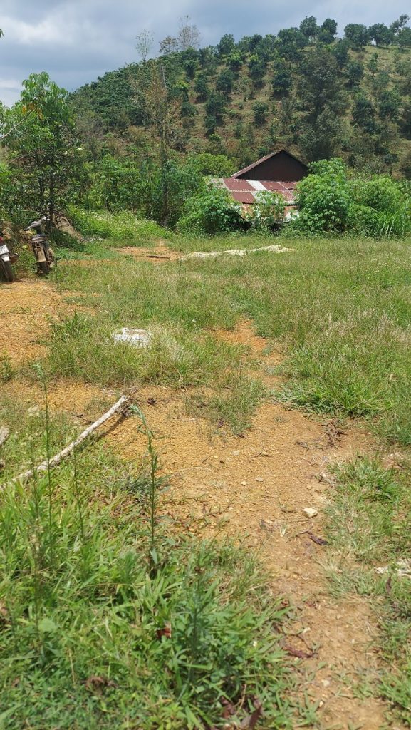 Bán 1,6 ha vườn cây ăn trái hẻm Chi Lăng Lộc Thành Bảo Lâm Lâm Đồng