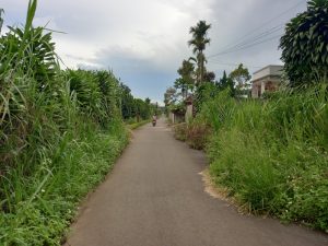 Bán 2,783 hẻm Nguyễn Tri Phương Phường 2 Bảo Lộc Lâm Đồng