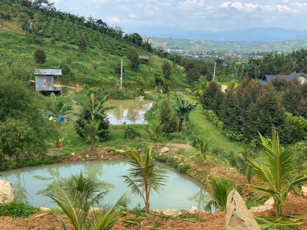 Bán 3,2 sào nghỉ dưỡng Thôn 12 Lộc Thành Bảo Lâm Lâm Đồng