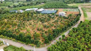 Bán 1,1 ha hẻm 89 Phùng Hưng Lộc Tiến Bảo Lộc