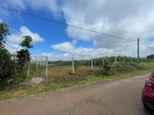 Đất nền mặt tiền Trần Nhật Duật xã Đambri Bảo Lộc Lâm Đồng