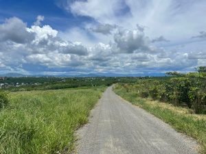 Bán 3,5 sào hẻm nhựa ngay sau SunValley Bảo Lộc Lâm Đồng