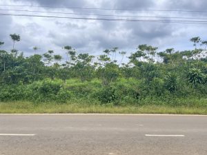 Bán 7 sào mặt tiền Đoàn Thị Điểm Lộc Thanh Bảo Lộc Lâm Đồng