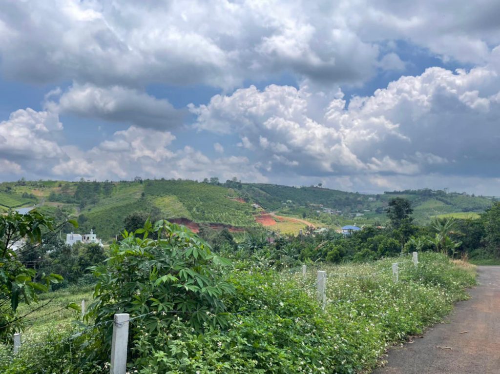 Bán 4,3 sào Hẻm 71 Trần Nhật Duật Xã Đambri Bảo Lộc