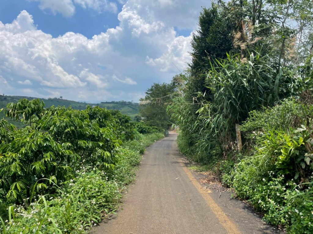 Bán 4,3 sào Hẻm 71 Trần Nhật Duật Xã Đambri Bảo Lộc