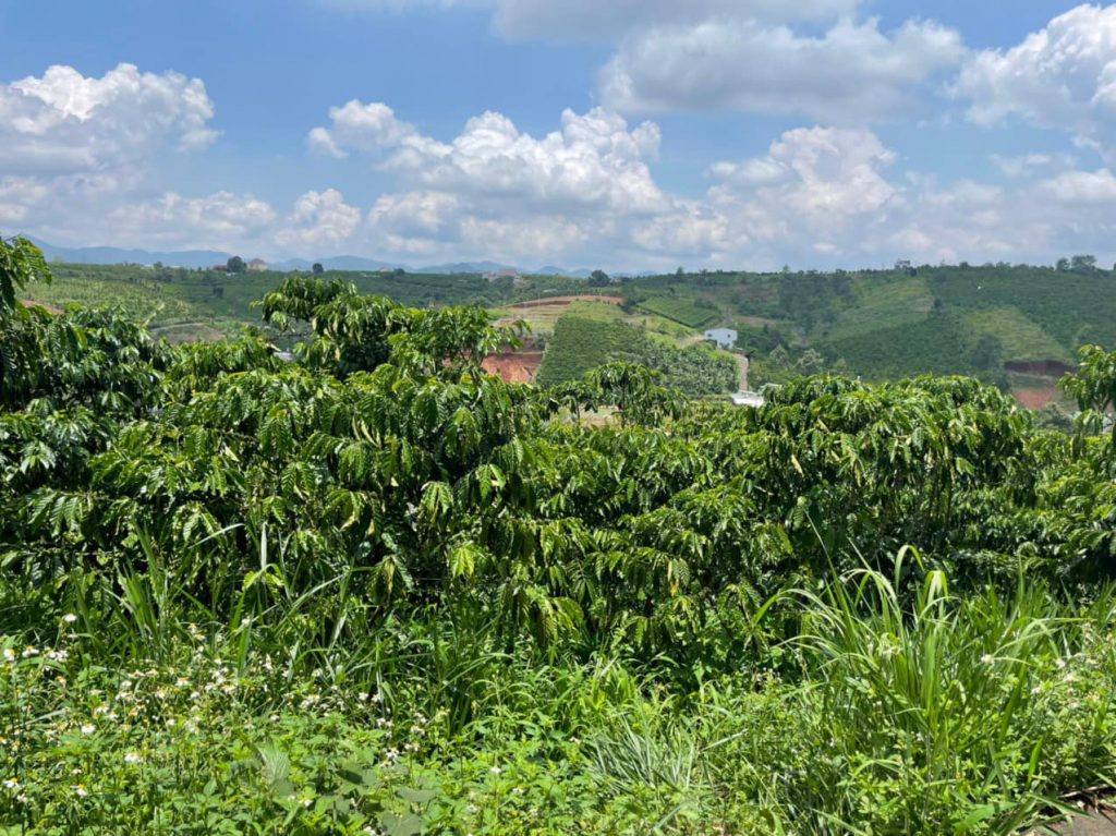 Bán 4,3 sào Hẻm 71 Trần Nhật Duật Xã Đambri Bảo Lộc