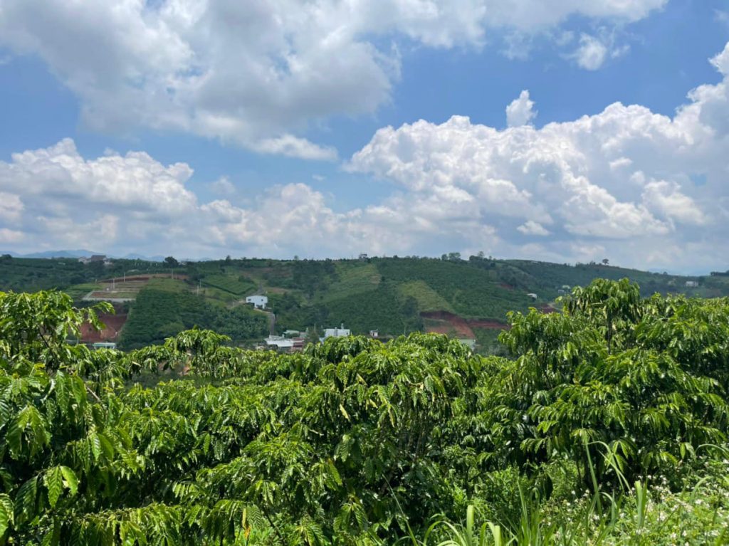 Bán 4,3 sào Hẻm 71 Trần Nhật Duật Xã Đambri Bảo Lộc