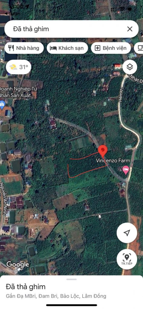 Bán 4,3 sào Hẻm 71 Trần Nhật Duật Xã Đambri Bảo Lộc