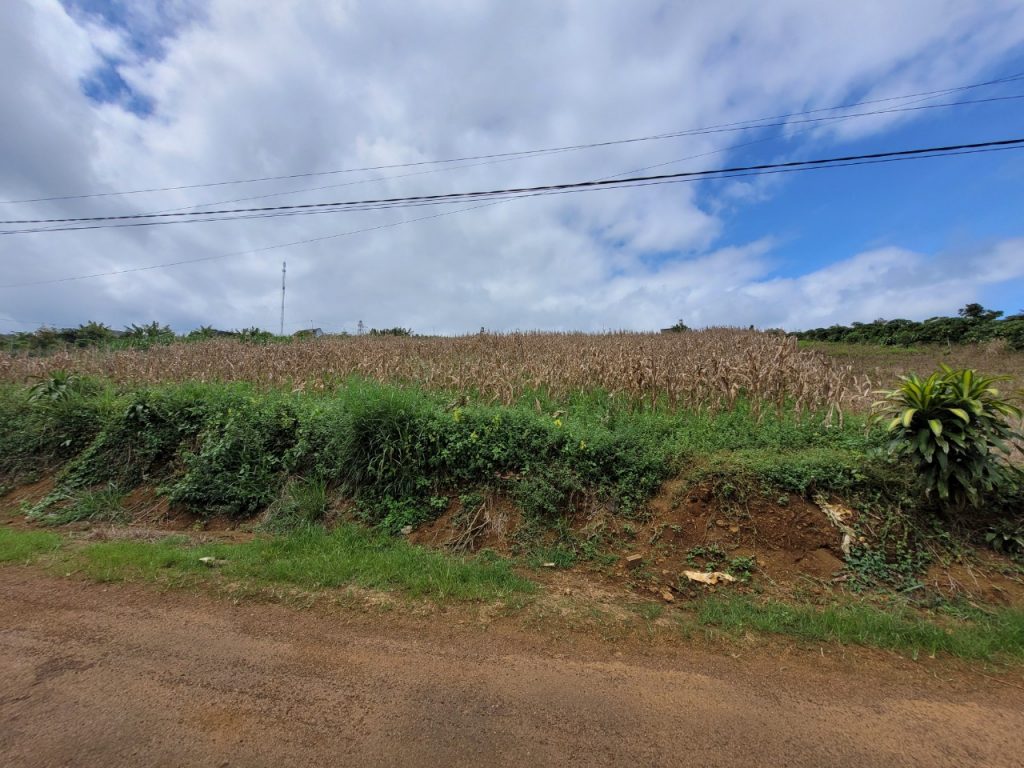 Đất sào mặt tiền hẻm nhựa 02 Tản Đà Dambri Bảo Lộc