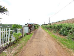 Đất sào mặt tiền hẻm nhựa 02 Tản Đà Dambri Bảo Lộc