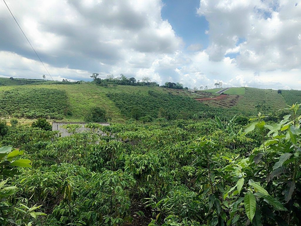 Đất sào mặt tiền hẻm nhựa 02 Tản Đà Dambri Bảo Lộc