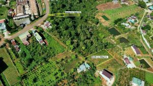 Bán 1 sào hẻm 154 Lý Thái Tổ Dambri Bảo Lộc